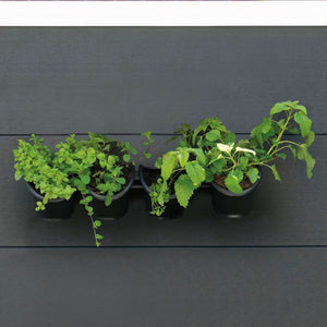 Nature Vertical Garden/Herb and Flower Kit