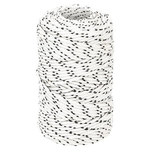 vidaXL Braided Boat Rope White 2 mmx100 m Polyester