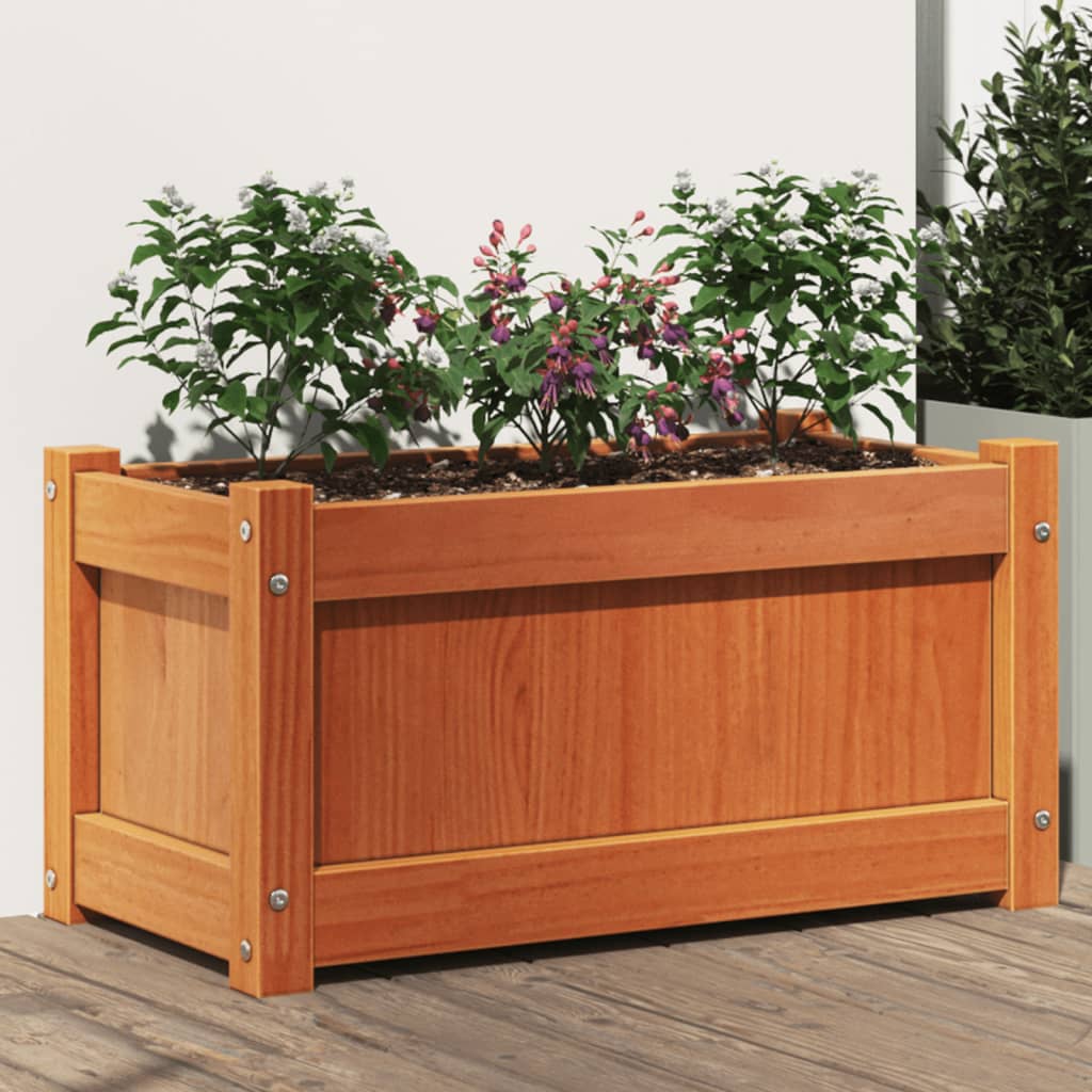 vidaXL Garden Planter Wax Brown 60x31x31 cm Solid Wood Pine