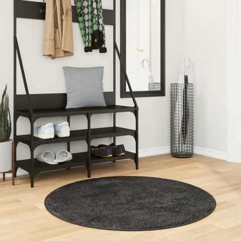 vidaXL Shaggy Rug PAMPLONA High Pile Modern Anthracite Ç? 100 cm