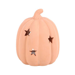 9cm Terracotta Pumpkin Tealight Holder