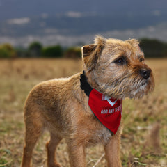 Aberdeen 1976 Home Shirt - Personalised Pet Bandana - 4 Sizes