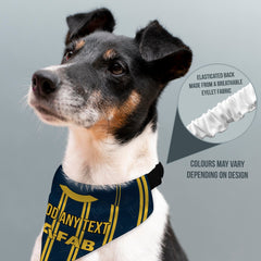 Aberdeen 1993 Away Shirt - Personalised Pet Bandana - 4 Sizes