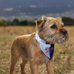 Blackburn 1992 Home Shirt - Personalised Pet Bandana - 4 Sizes