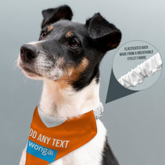 Blackpool 2010 Home Shirt - Personalised Pet Bandana - 4 Sizes