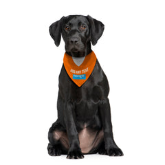 Blackpool 2010 Home Shirt - Personalised Pet Bandana - 4 Sizes