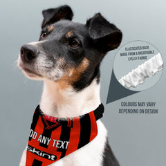 Brighton 1999 Away Shirt - Personalised Pet Bandana - 4 Sizes