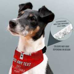 Bristol 1993 Home Shirt - Personalised Pet Bandana - 4 Sizes