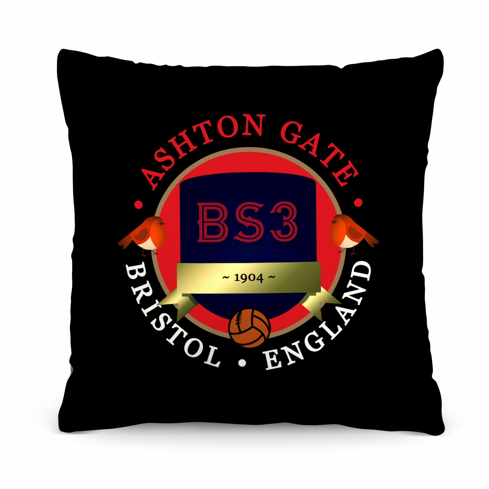 Bristol Aston Gate - Football Legends - Cushion 10inch