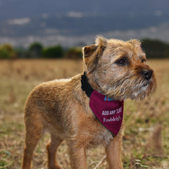 Burnley 1994 Home Shirt - Personalised Pet Bandana - 4 Sizes