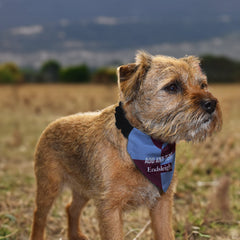 Burnley 1998 Home Shirt - Personalised Pet Bandana - 4 Sizes