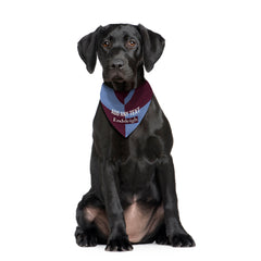 Burnley 1998 Home Shirt - Personalised Pet Bandana - 4 Sizes