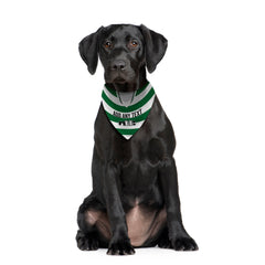 Celtic 2001 Home Shirt - Personalised Pet Bandana - 4 Sizes