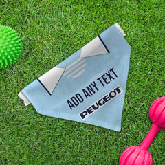 Coventry 1995 Home Shirt - Personalised Pet Bandana - 4 Sizes