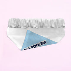 Coventry 1995 Home Shirt - Personalised Pet Bandana - 4 Sizes