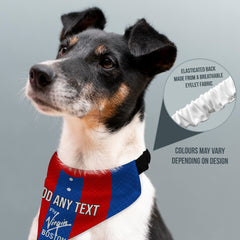 Crystal-Palace 1978 Home Retro Shirt - Personalised Pet Bandana - 4 Sizes