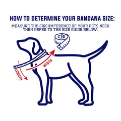 Reading 2006 Home Shirt - Personalised Pet Bandana - 4 Sizes