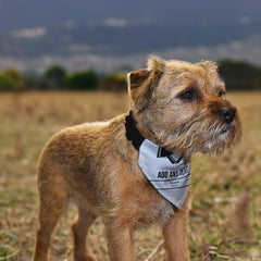 Fulham 2000 Home Shirt - Personalised Pet Bandana - 4 Sizes