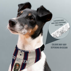 Ipswich 1997 Away Shirt - Personalised Pet Bandana - 4 Sizes