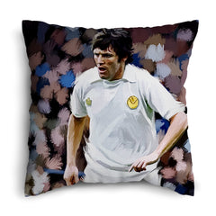 Lee Buccilli - Eddie Gray Home- Cushion, Three Sizes