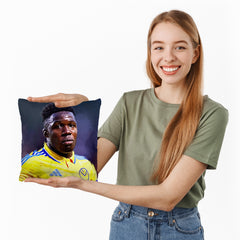 Lee Buccilli - Gnonto - Cushion, Three Sizes