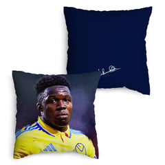 Lee Buccilli - Gnonto - Cushion, Three Sizes