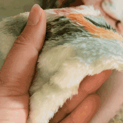 Fulham -2000 HOME Shirt - Personalised Retro Fleece Blanket