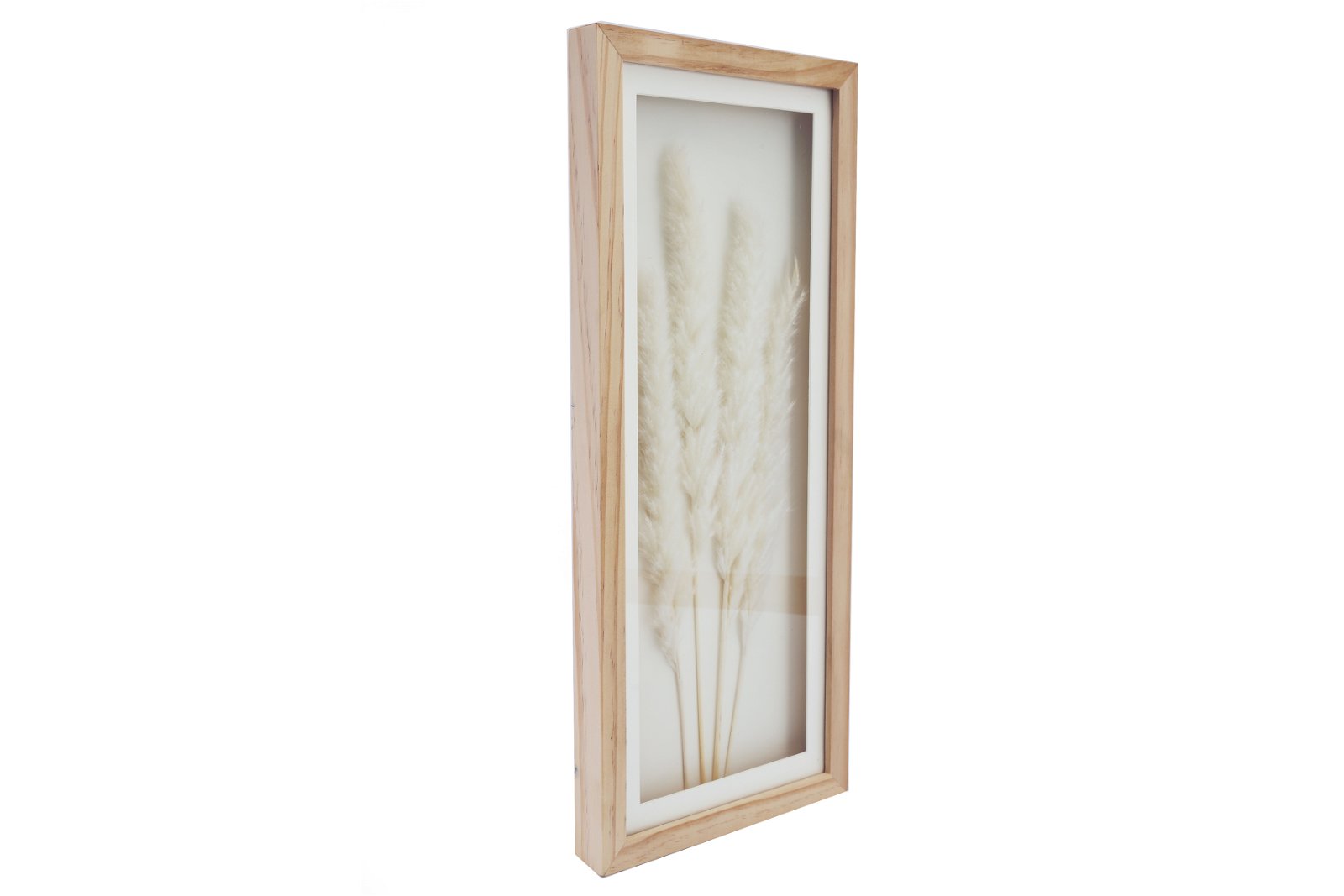 White Pampas In Rectangular Frame 50cm