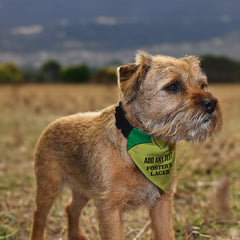 Norwich 1986 Home Shirt - Personalised Pet Bandana - 4 Sizes