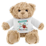 Personalised Felt Stitch Robin My 1st Christmas Teddy Bear
