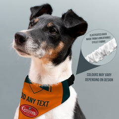 Plymouth 2004 Away Shirt - Personalised Pet Bandana - 4 Sizes