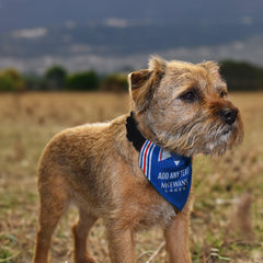 Rangers 1996 Home Shirt - Personalised Pet Bandana - 4 Sizes