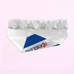 Reading 2006 Home Shirt - Personalised Pet Bandana - 4 Sizes