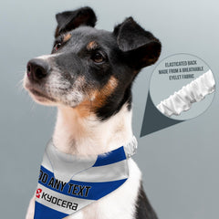 Reading 2006 Home Shirt - Personalised Pet Bandana - 4 Sizes