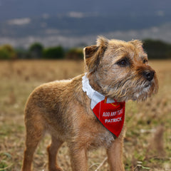 Rotherham 1984 Home Shirt - Personalised Pet Bandana - 4 Sizes