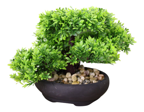 Eastern Faux Bonsai Tree in Boxwood Style