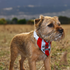 Sheffield United 1996 Home Shirt - Personalised Pet Bandana - 4 Sizes