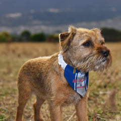 Wednesday 1995 Home Shirt - Personalised Pet Bandana - 4 Sizes