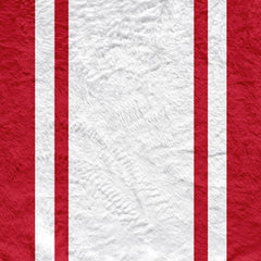 Soton - 1976 Home Shirt - Retro Fleece Blanket