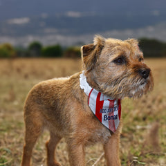 St Johnstone 1990 Away Shirt - Personalised Pet Bandana - 4 Sizes