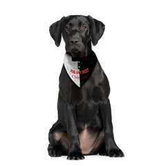 St Mirren 1994 Home Shirt - Personalised Pet Bandana - 4 Sizes