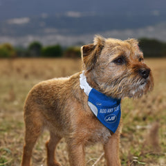 Wigan 2006 Home Shirt - Personalised Pet Bandana - 4 Sizes
