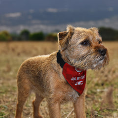 Aberdeen 1987 Home Shirt - Personalised Pet Bandana - 4 Sizes