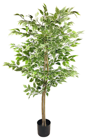 Artificial Ficus Tree With Variegation Leaves 150cm