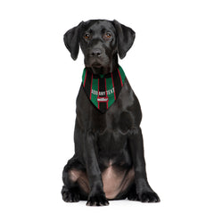 Aston Villa 1994 Away Shirt - Personalised Pet Bandana - 4 Sizes