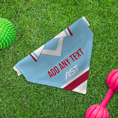 Aston Villa  1998 Away Shirt - Personalised Pet Bandana - 4 Sizes