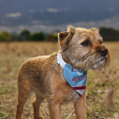 Aston Villa  1998 Away Shirt - Personalised Pet Bandana - 4 Sizes