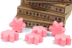 Box of 6  Wax Melts -  Japanese Magnolia