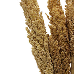 Cantal Grass Bunch - Natural