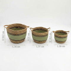 Cotton & Seagrass Large Baskets - Natural Black & Green- Set of 3